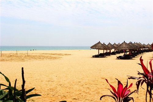 精典泰迪的奶茶铺