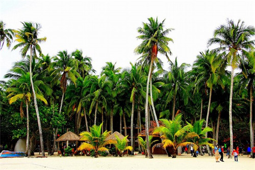 小木屋炸鸡啤酒