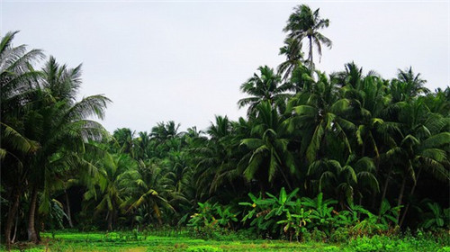 亦沫新中式糕点