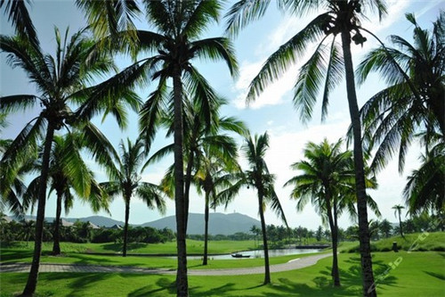 电动小风扇加盟店需要注意哪些事项，电动小风扇的用途