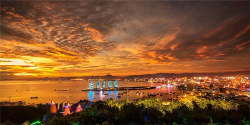 素岛泰茶品牌的发展情况如何