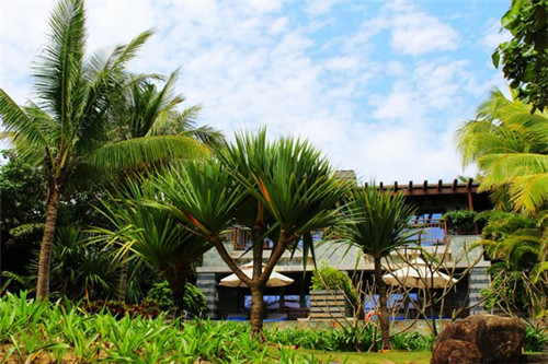 山裹是什么意思（山乞念什么是什么意思）