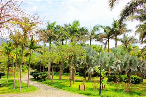 了凡四训详解自营（了凡四训(全三册)）