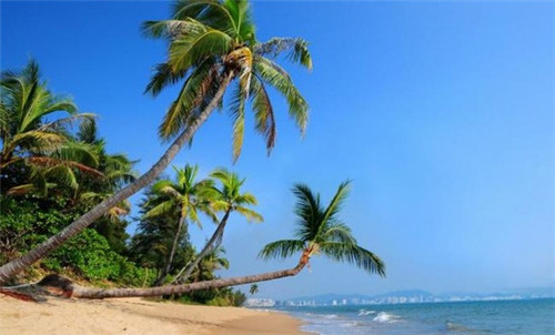 有韩字的茶叶名字（有韩字的茶叶名字有哪些）