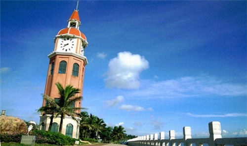 冰球子十大功能与作用是什么（冰球子百科）