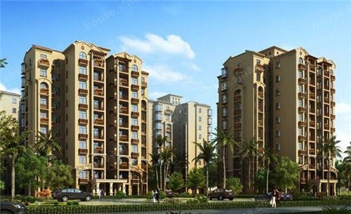 鸭口茶园风景（鸭口茶园风景图片）