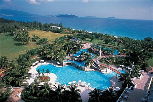 鳍足类动物能一直生活在深海区吗（鳍足类动物能一直生活在深海区吗英语）