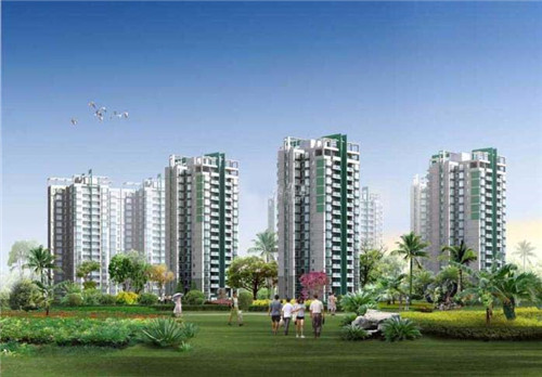 莆田市韭菜籽加盟什么店比较好，韭菜籽批发价