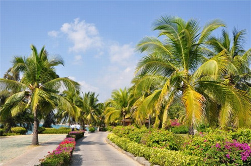 开花生油店好不好赚钱，创业开花生油店怎么样起名