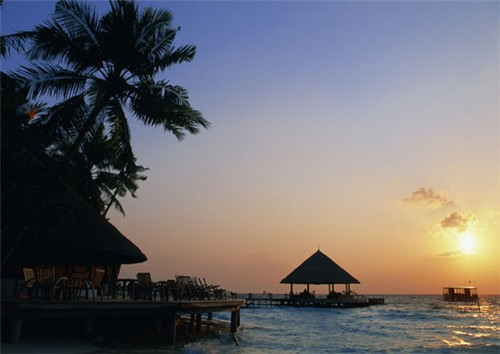 开了家海岸茶度亏损的多吗