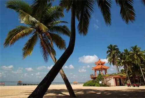 上海饿了么奶茶店工资