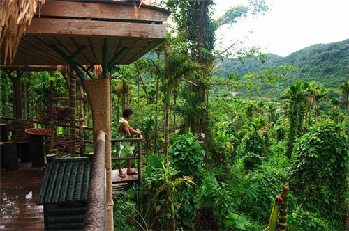 花青素最好的三个品牌（花青素最好的三个品牌是什么）