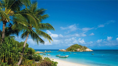 尖椒炒土豆怎么炒才好吃（尖椒炒土豆片简单做法）